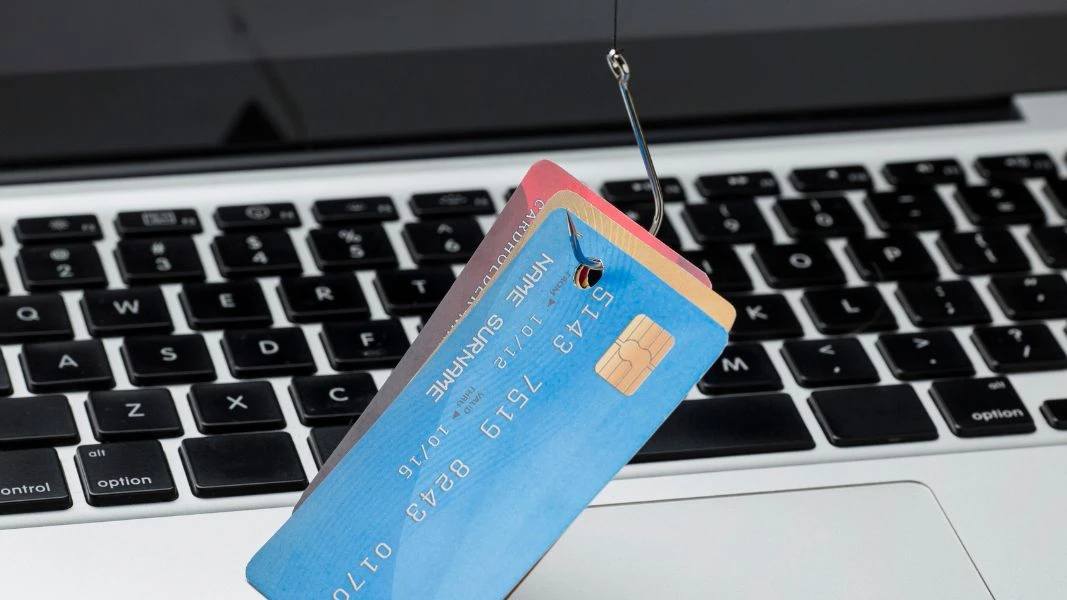 Anzuelo cogiendo tarjetas de crédito transmitiendo la idea del phishing